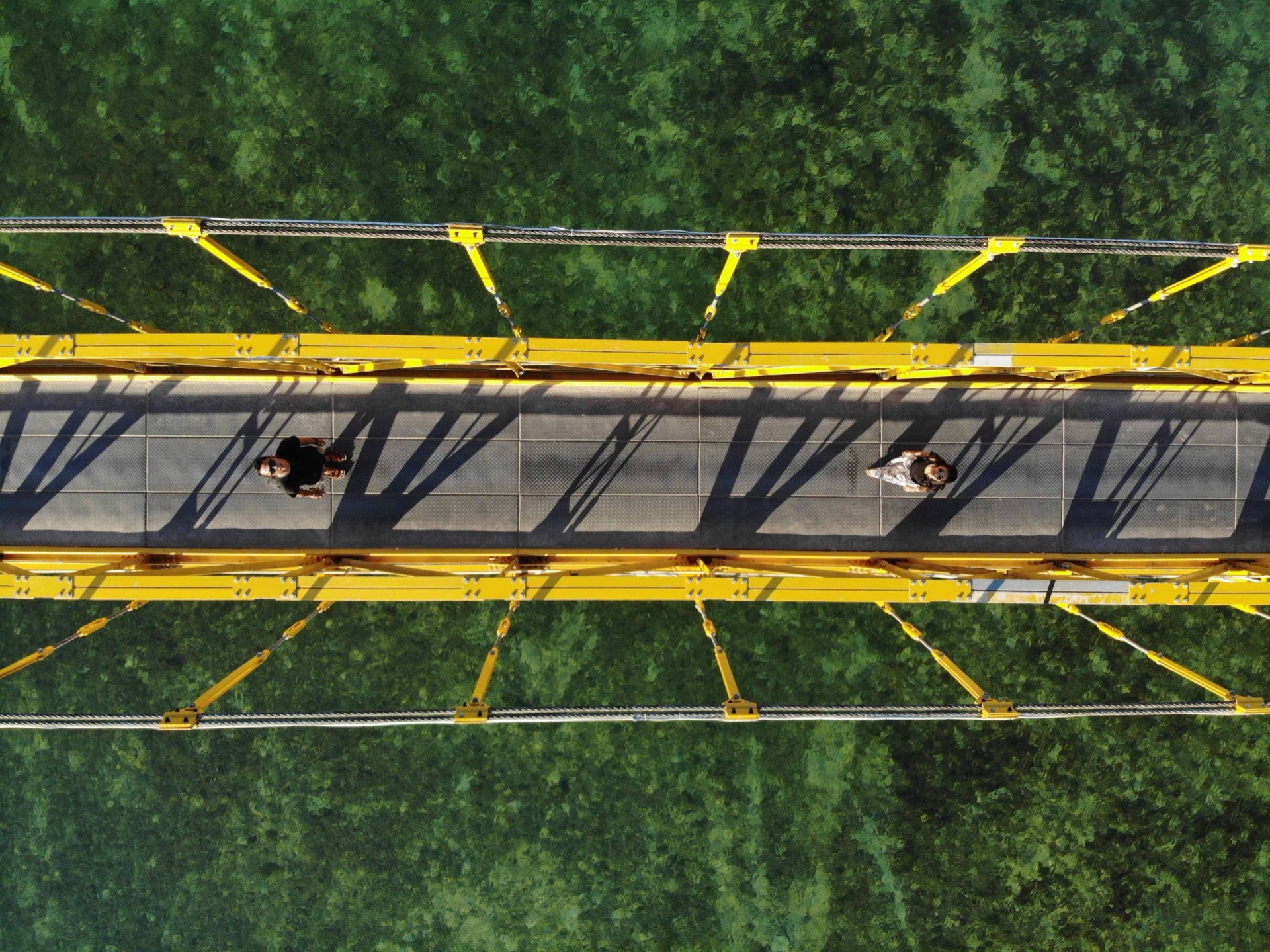 Wedding aerial